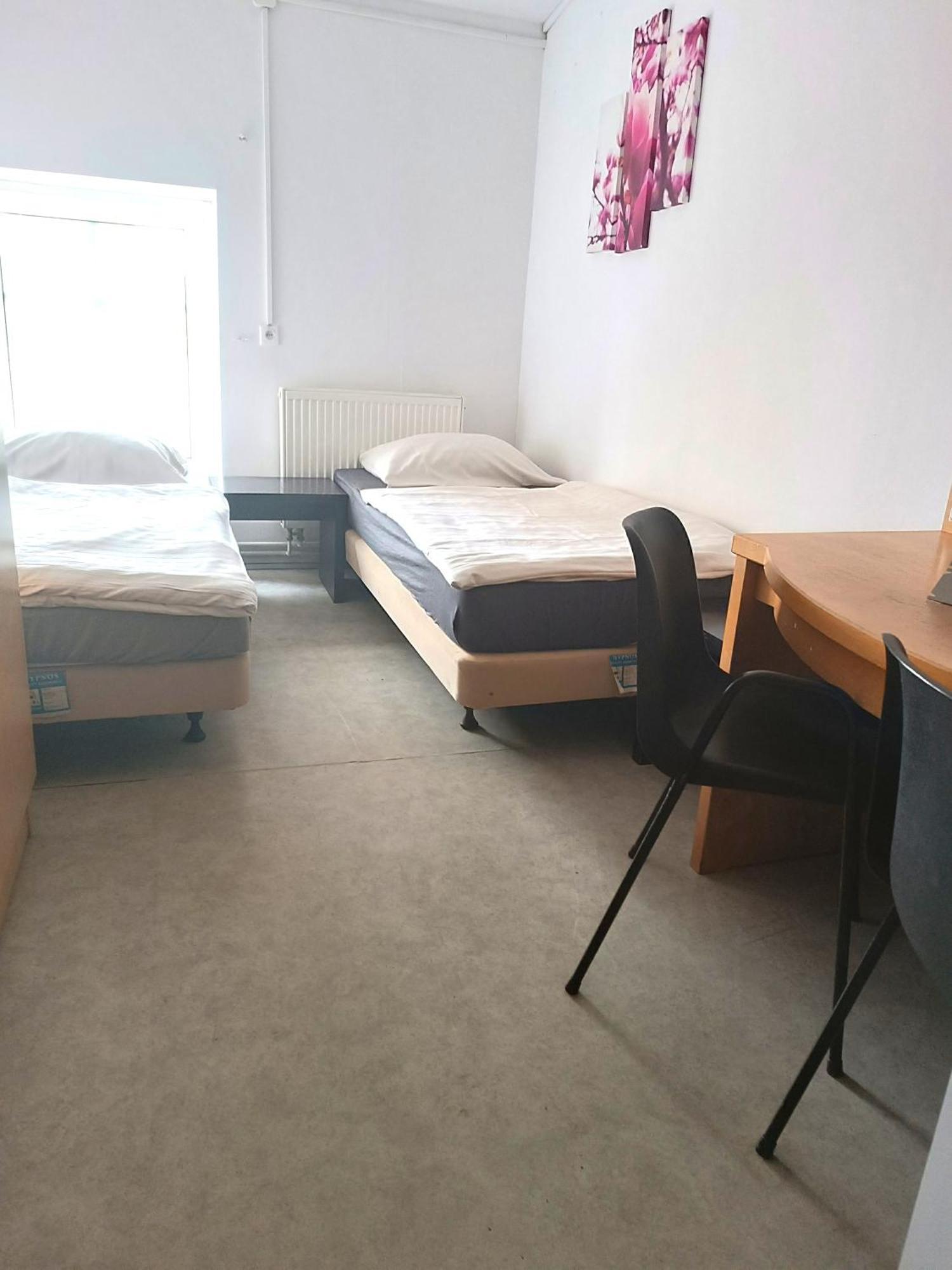 Hostel Krosnienska 12 Zielona Góra Esterno foto